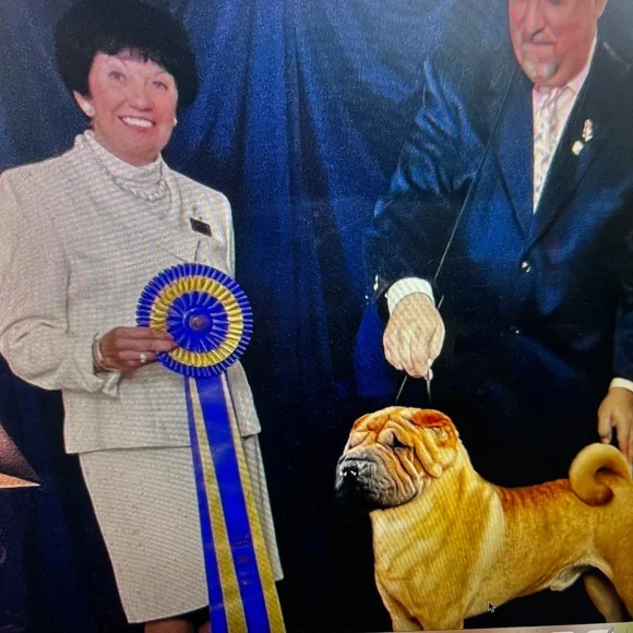 PATRICIA NASH ITALY-NWT$85.00 MASTERPIECE PAINTING TOOK 5 WEEKS -NOW !$69.00 - Picture 14 of 16